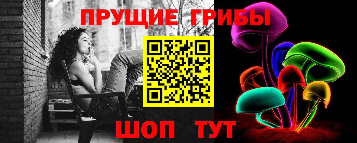 Псилоцибиновые грибы GOLDEN TEACHER  Вход с VPN  Нижнеудинск 
